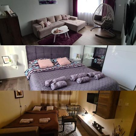 Grey & Sunny Apartments Zaječar 外观 照片