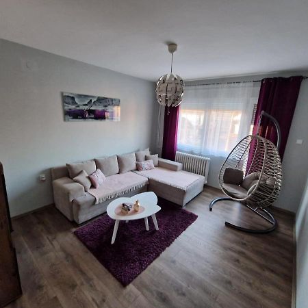 Grey & Sunny Apartments Zaječar 外观 照片