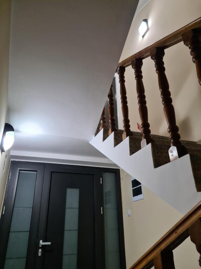 Grey & Sunny Apartments Zaječar 外观 照片