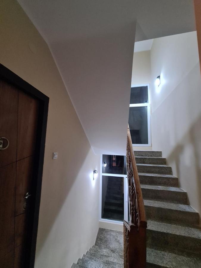 Grey & Sunny Apartments Zaječar 外观 照片