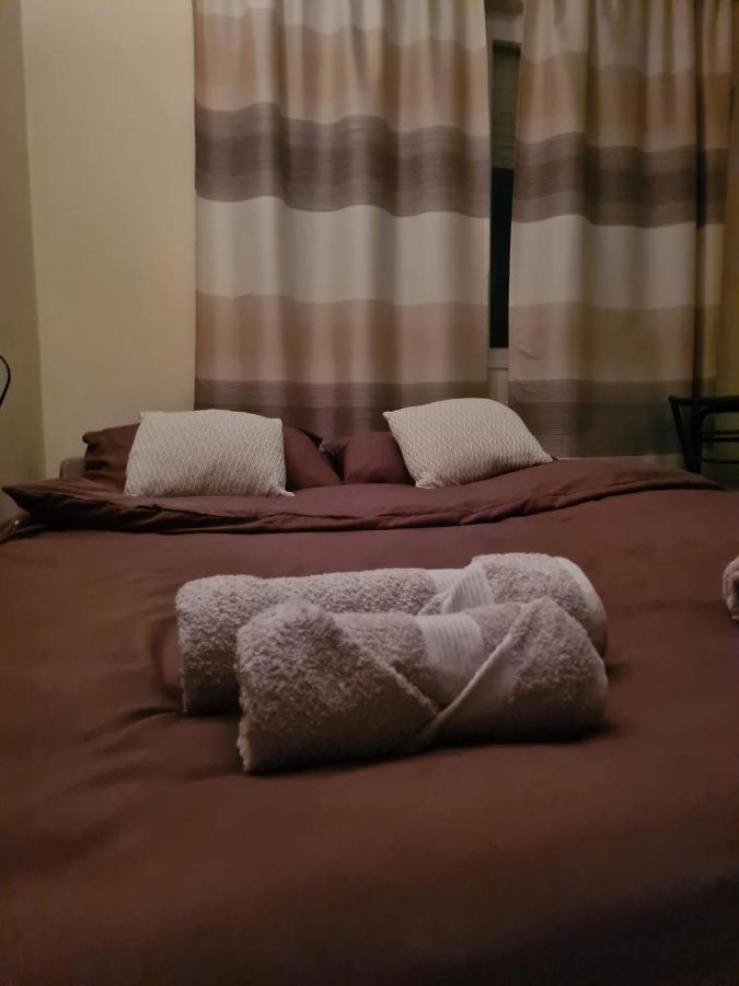 Grey & Sunny Apartments Zaječar 外观 照片
