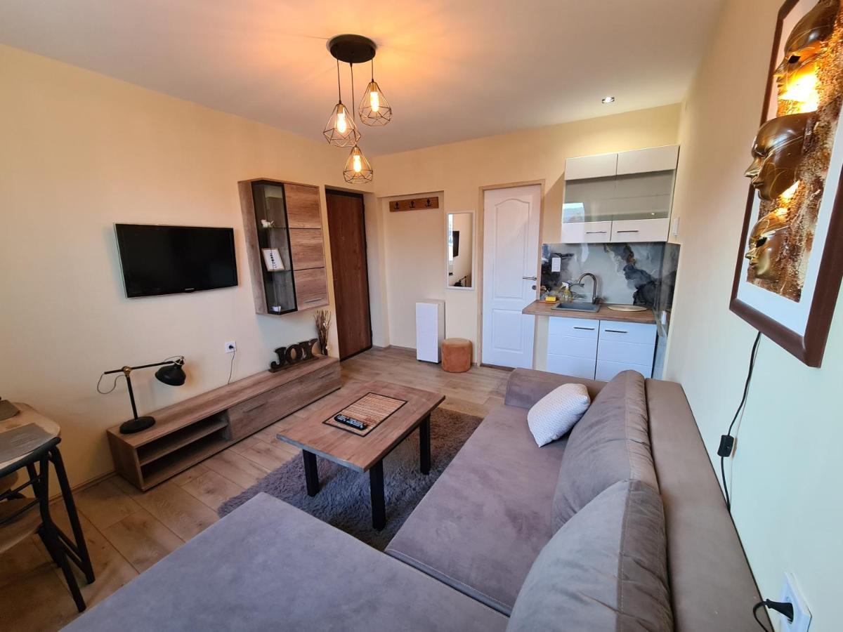 Grey & Sunny Apartments Zaječar 外观 照片