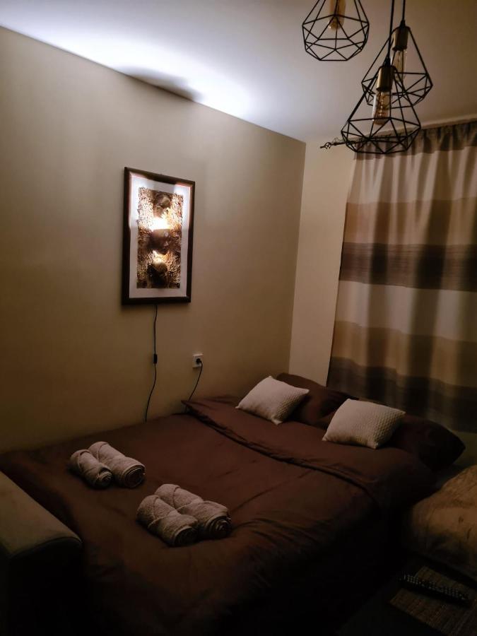 Grey & Sunny Apartments Zaječar 外观 照片
