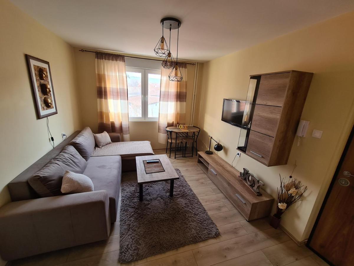 Grey & Sunny Apartments Zaječar 外观 照片