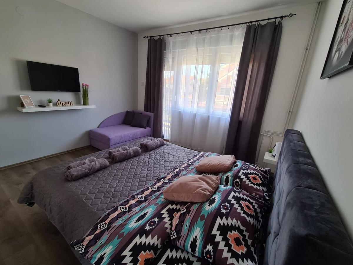 Grey & Sunny Apartments Zaječar 外观 照片