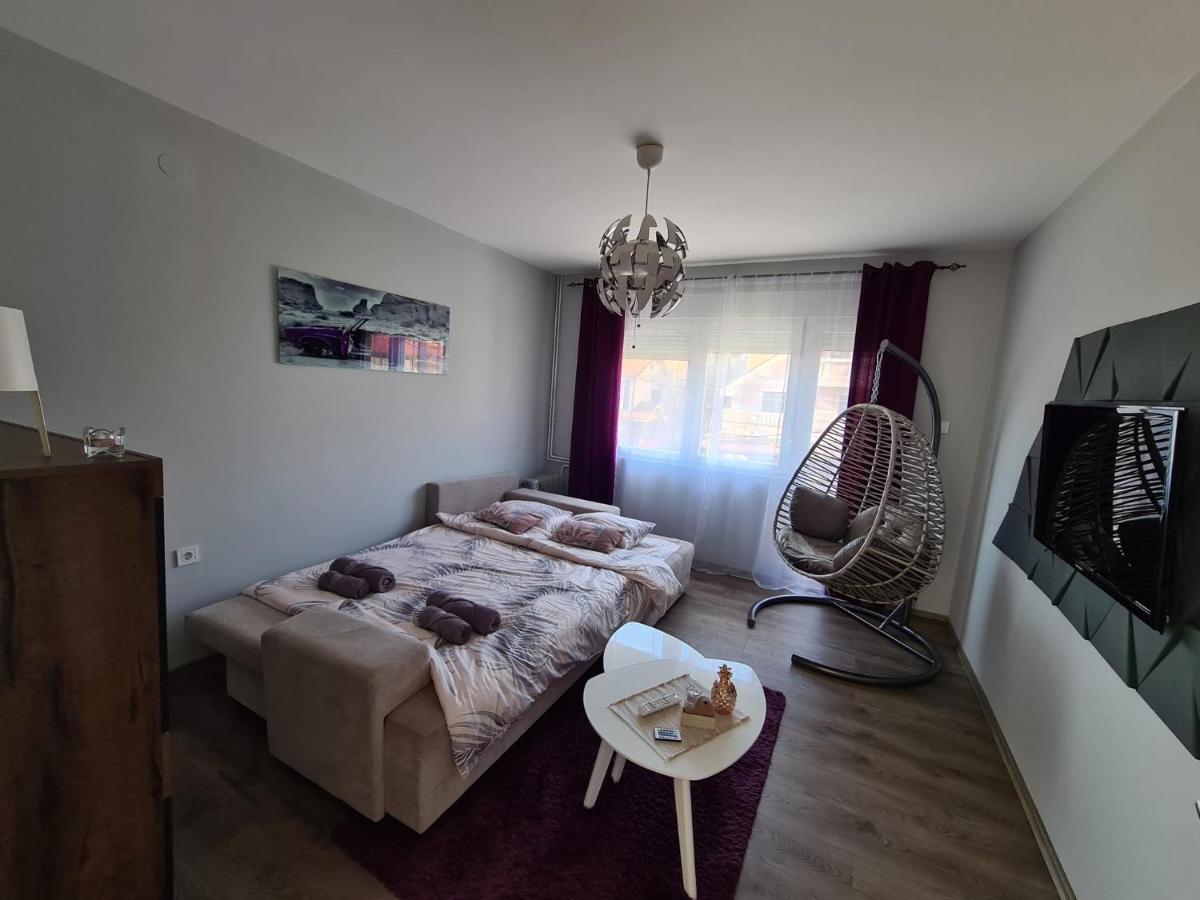 Grey & Sunny Apartments Zaječar 外观 照片