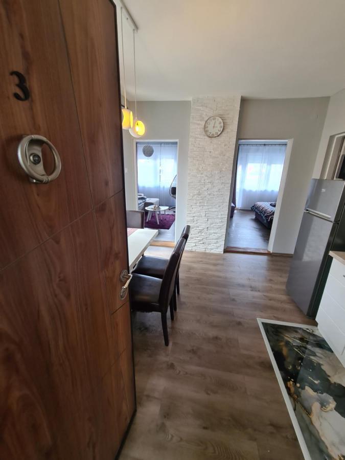 Grey & Sunny Apartments Zaječar 外观 照片