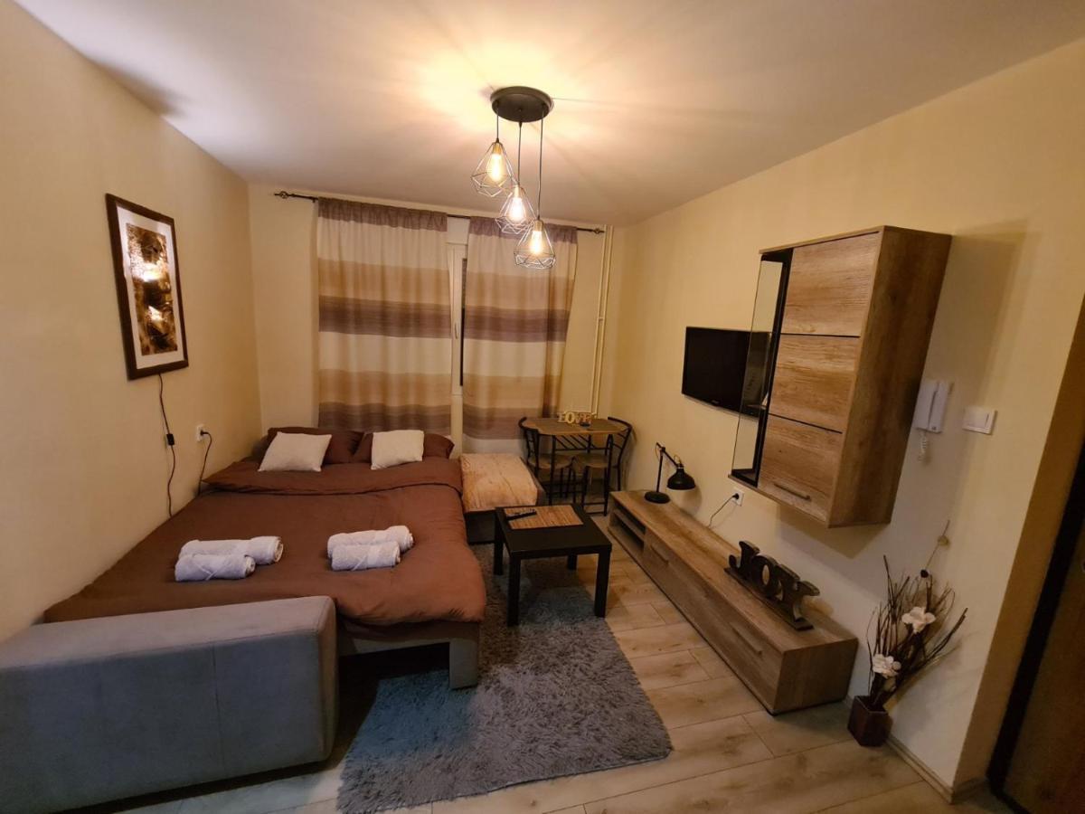 Grey & Sunny Apartments Zaječar 外观 照片