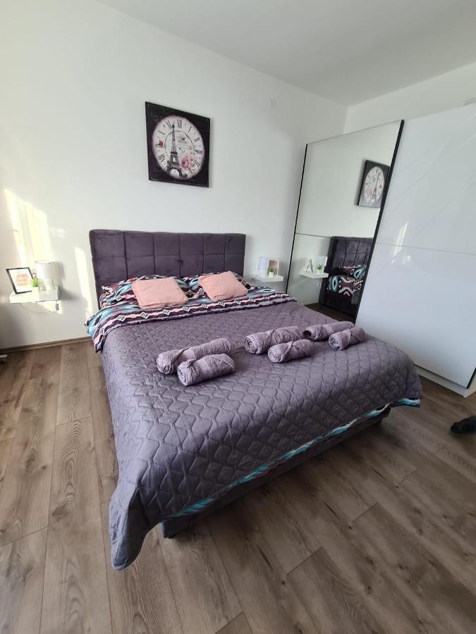 Grey & Sunny Apartments Zaječar 外观 照片