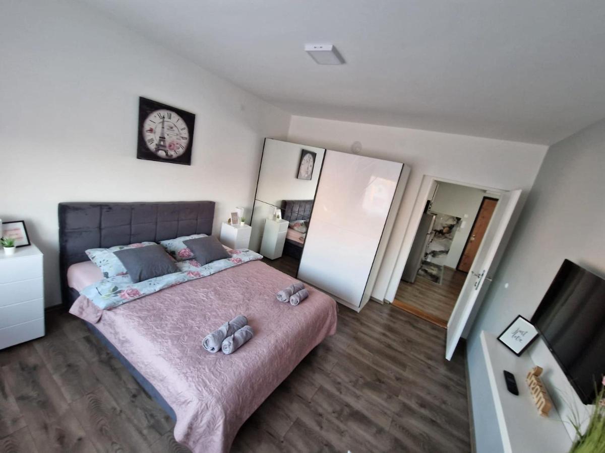 Grey & Sunny Apartments Zaječar 外观 照片