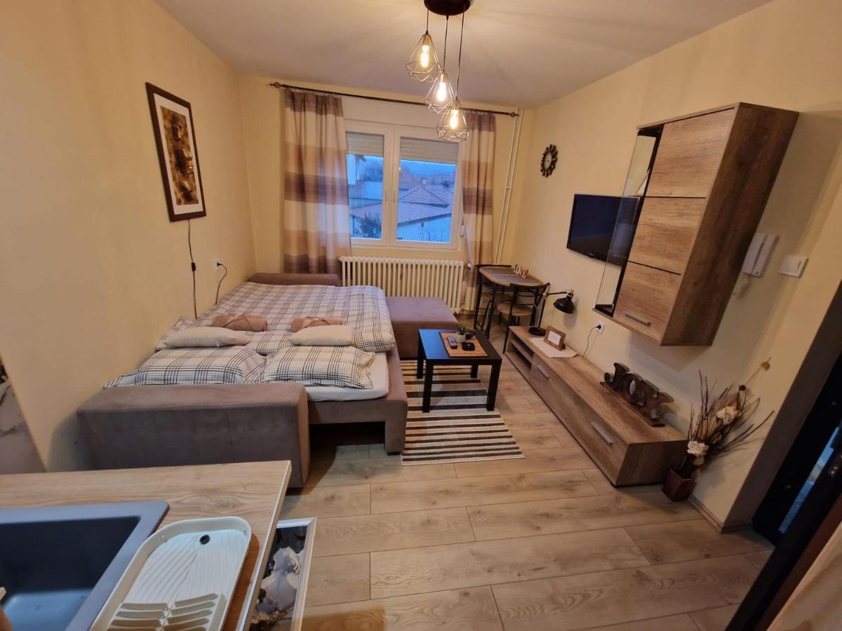Grey & Sunny Apartments Zaječar 外观 照片