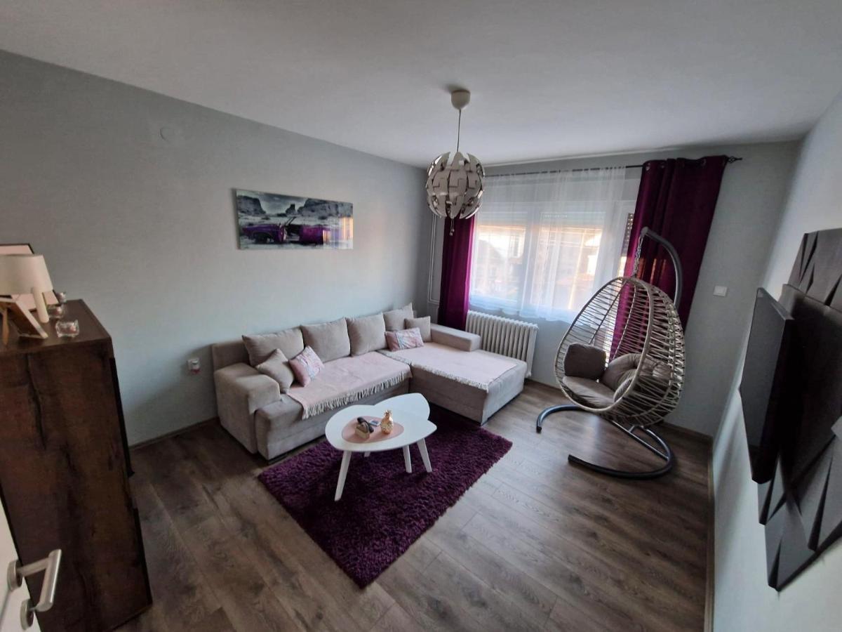 Grey & Sunny Apartments Zaječar 外观 照片