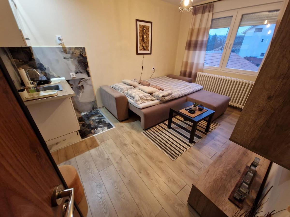 Grey & Sunny Apartments Zaječar 外观 照片